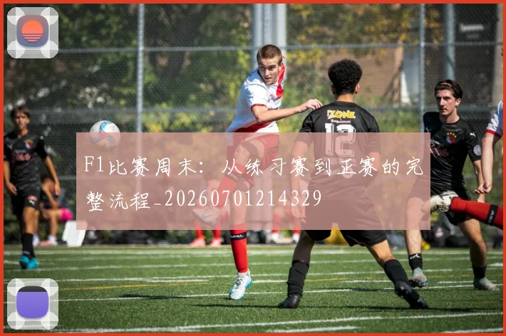 F1比赛周末:从练习赛到正赛的完整流程_20260701214329
